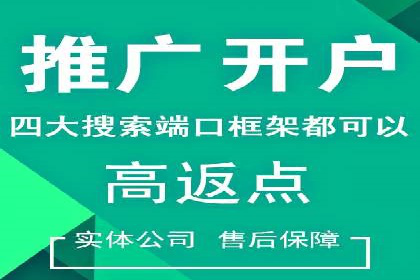 SEM托管优化案例深度解析
